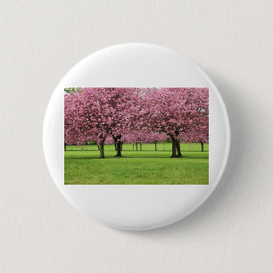 WUNDERSCHÖNE KIRSCHBLÜTEN BUTTON