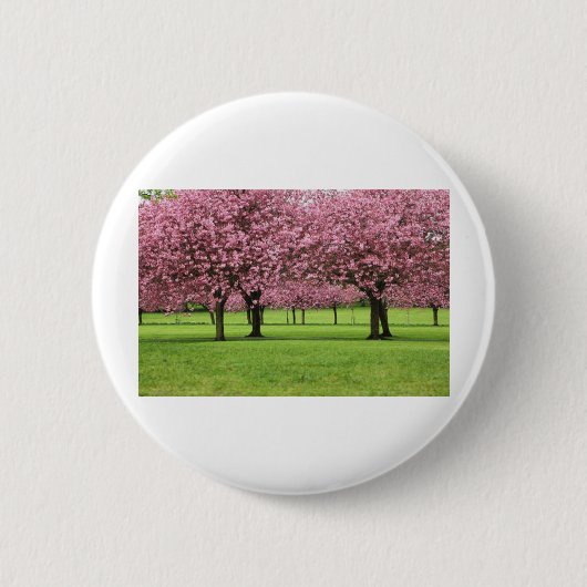 WUNDERSCHÖNE KIRSCHBLÜTEN BUTTON (Vorderseite)