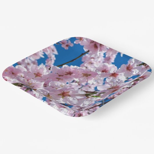 Wunderschöne Kirschblüten im Frühling Pappteller (Gewinkelt)