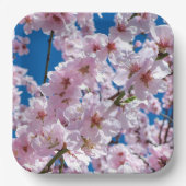 Wunderschöne Kirschblüten im Frühling Pappteller (Vorderseite)