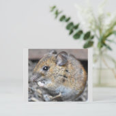 Wunderschöne kleine Maus  Postkarte (Stehend Vorderseite)