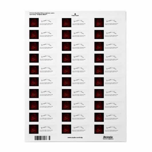 Wunderschöne Krähe (Vorne)