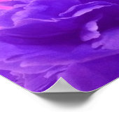 Wunderschöne lila Himbeer-Blumen Poster (Ecke)