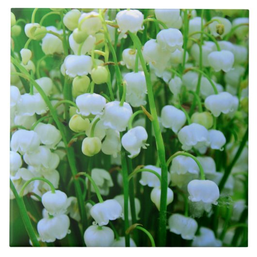 Wunderschöne Maiglöckchen Frühlingsblumen Fliese (Vorderseite)