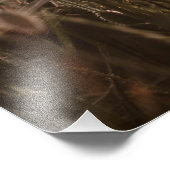 wunderschöne Mohnblüte Fotodruck (Ecke)