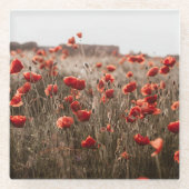 wunderschöne Mohnblüte Glasuntersetzer (Vorderseite)