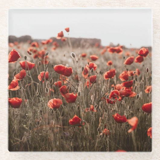 wunderschöne Mohnblüte Glasuntersetzer (Vorderseite)