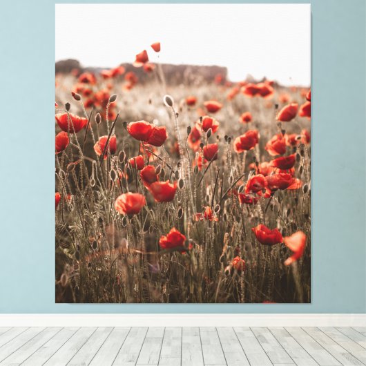 wunderschöne Mohnblüte Leinwanddruck (Insitu (Holzboden))