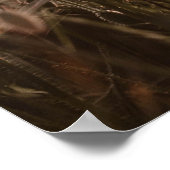 wunderschöne Mohnblüte Poster (Ecke)