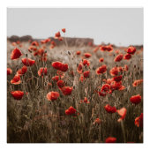 wunderschöne Mohnblüte Poster (Vorderseite)