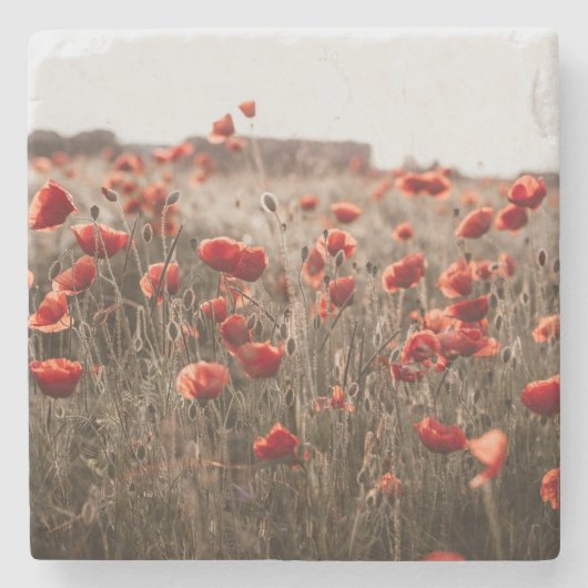 wunderschöne Mohnblüte Steinuntersetzer (Vorderseite)