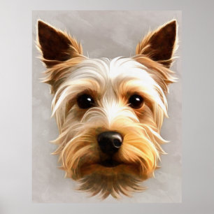 Wunderschöne Niedliche Yorkshire Terrier Welpe Flo Poster
