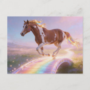 Wunderschöne Paint Horse Stute überquert die Regen Postkarte