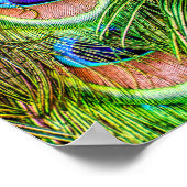 Wunderschöne Pfauenfeathers Poster (Ecke)