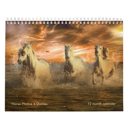 Wunderschöne Pferde & Pferde Quotes 12 Monate Kalender (Titelbild)