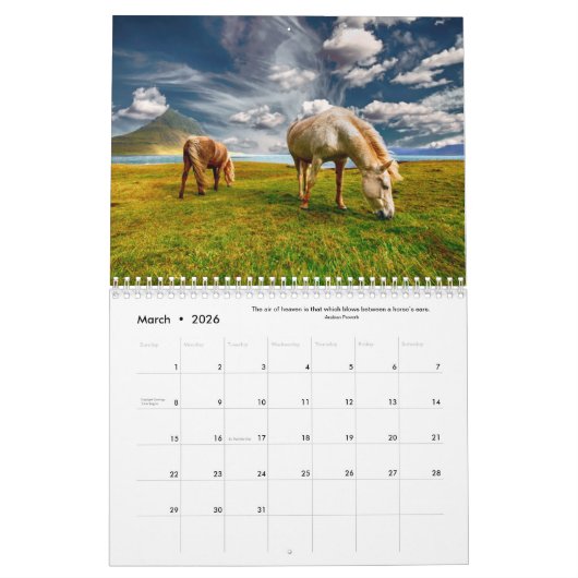 Wunderschöne Pferde & Pferde Quotes 12 Monate Kalender (Mär 2026)