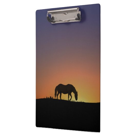 Wunderschöne Pferdekletterwand Klemmbrett (Links)