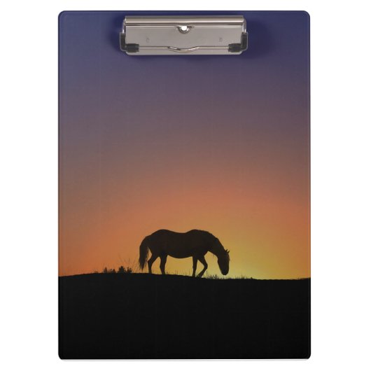 Wunderschöne Pferdekletterwand Klemmbrett (Vorderseite)