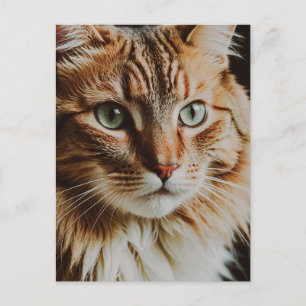 WUNDERSCHÖNE POSTKARTE MIT GETIGERTER KATZE