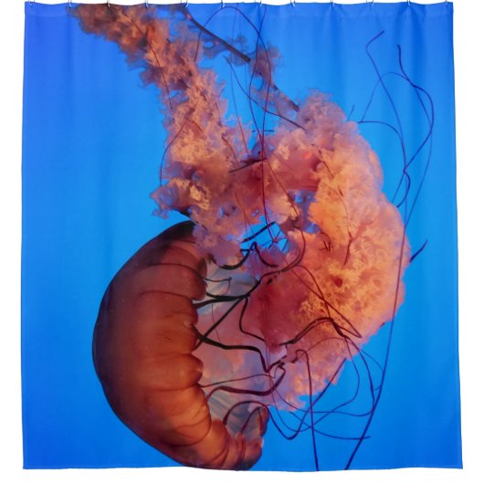 Wunderschöne Qualle Duschvorhang (Vorderseite)