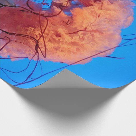 Wunderschöne Qualle Geschenkpapier (Ecke)