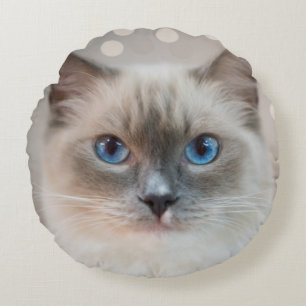 Wunderschöne Ragdoll-Katze auf Beige Rundes Kissen