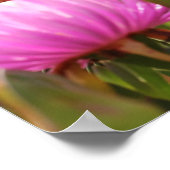 Wunderschöne rosa Blume A3 Poster (Ecke)