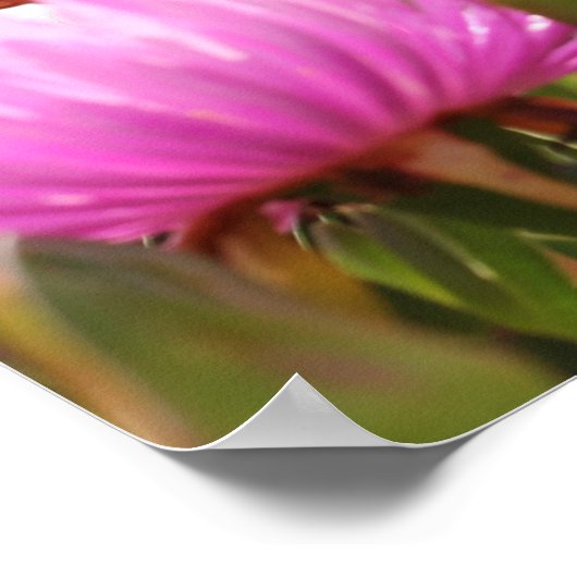 Wunderschöne rosa Blume A3 Poster (Ecke)