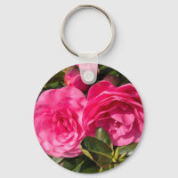 Wunderschöne rosa Kamelie