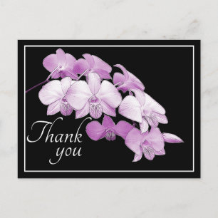 Wunderschöne rosa Orchideen schwarzer Hintergrund  Postkarte