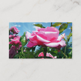 Wunderschöne rosa Rosa-Blume in blauem Himmelsprof Visitenkarte