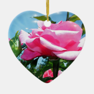 Wunderschöne rosa Rose am blauen Himmel. Florale F Keramik Ornament