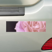 Wunderschöne Rosa Rose Autoaufkleber (Auf Auto)