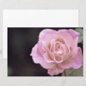 Wunderschöne Rosa Rose Briefpapier (Vorne/Hinten)