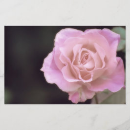 Wunderschöne Rosa Rose Briefpapier