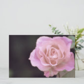 Wunderschöne Rosa Rose Briefpapier (Stehend Vorderseite)