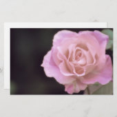 Wunderschöne Rosa Rose Briefpapier (Vorne/Hinten)