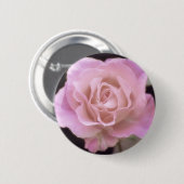 Wunderschöne Rosa Rose Button (Vorne & Hinten)