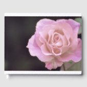 Wunderschöne Rosa Rose Gästebuch (Vorderseite)