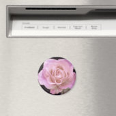 Wunderschöne Rosa Rose Magnet (In Situ (Geschirrspüler))