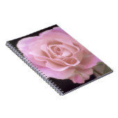 Wunderschöne Rosa Rose Notizblock (Rechte Seite)
