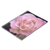 Wunderschöne Rosa Rose Notizblock (Linke Seite)