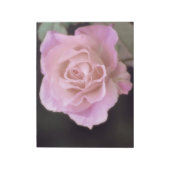 Wunderschöne Rosa Rose Notizblock (Rotiert)