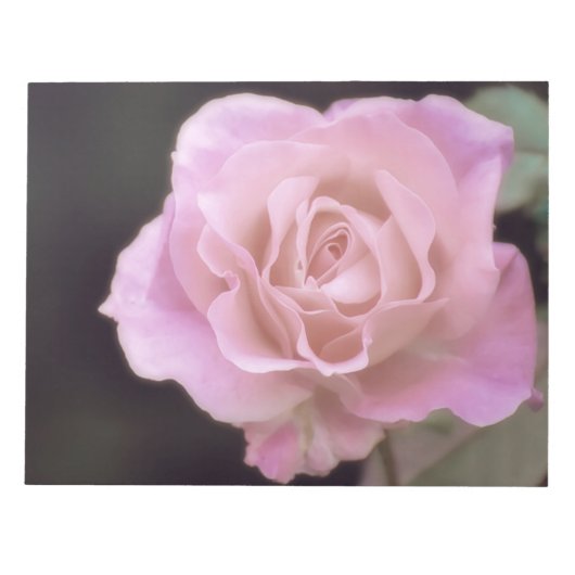 Wunderschöne Rosa Rose Notizblock (Vorderseite)