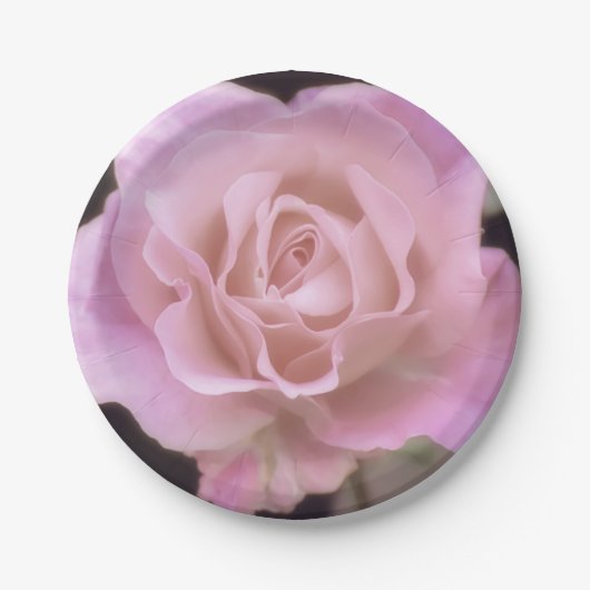 Wunderschöne Rosa Rose Pappteller (Vorderseite)