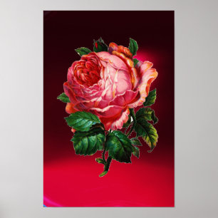 WUNDERSCHÖNE ROSA ROSE POSTER