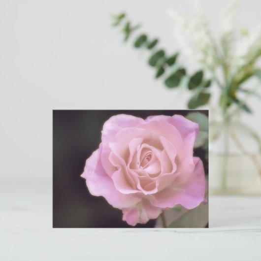 Wunderschöne Rosa Rose Postkarte (Stehend Vorderseite)