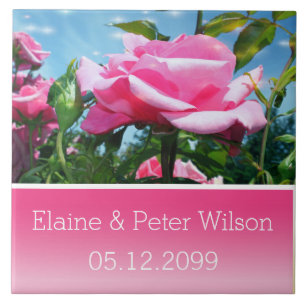 Wunderschöne rosa Rosenblüten Hochzeit Jubiläum Fliese
