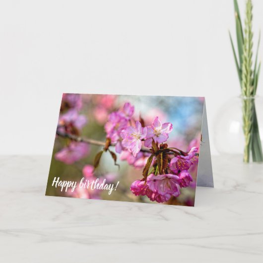 Wunderschöne rosa Sakura Blume im Frühlingspark Karte (Vorderseite)