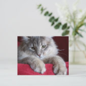 wunderschöne Rosine Postkarte 4 (Stehend Vorderseite)